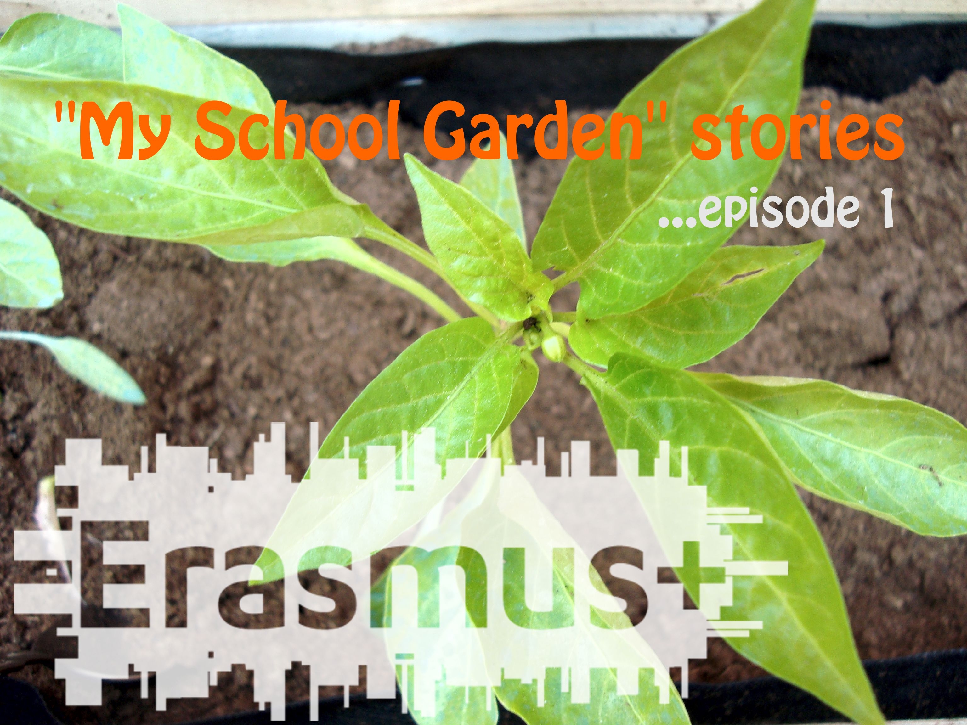 Our School Garden: Greek Presentation